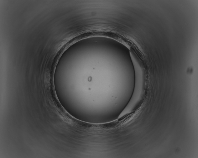 X0000091181065200708301212