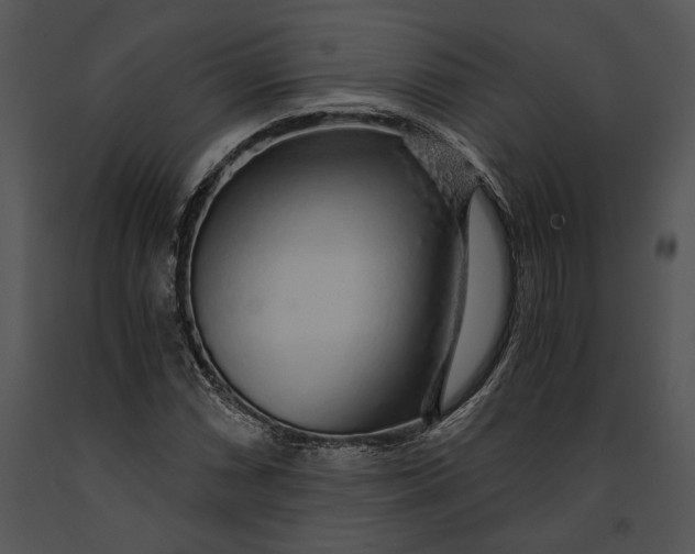 X0000091181066200708301212