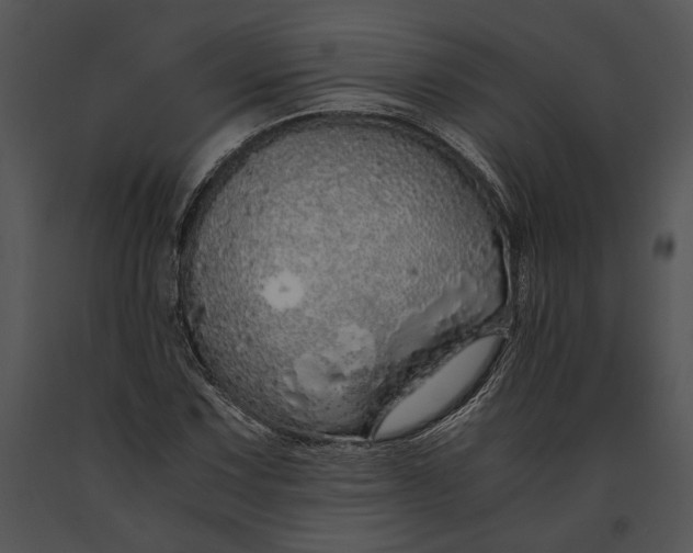 X0000091181067200708301212