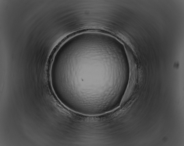 X0000091181068200708301212