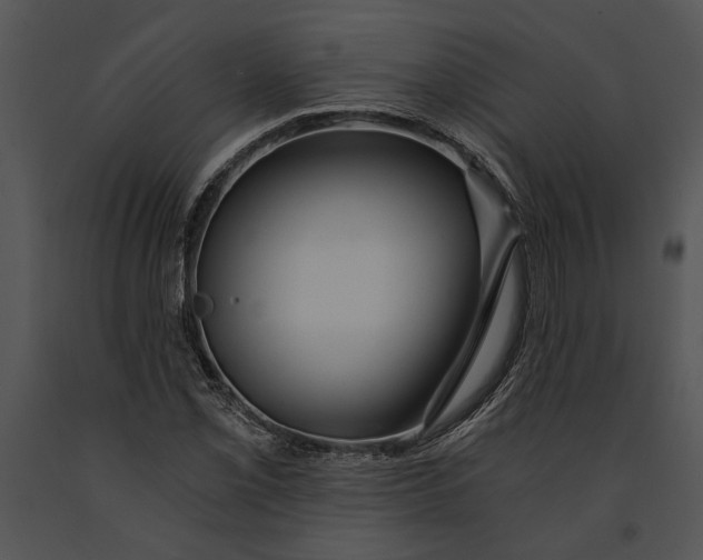 X0000091181069200708301212