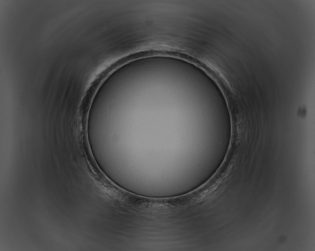 X0000091181070200708301212