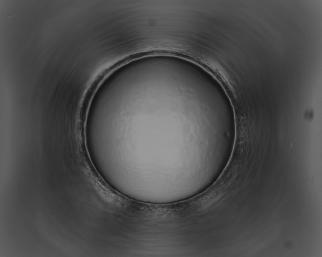 X0000091181072200708301212