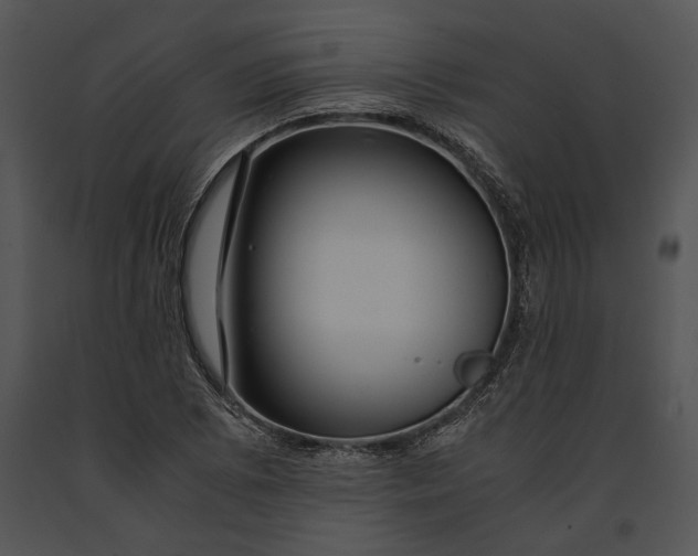 X0000091181073200708301212