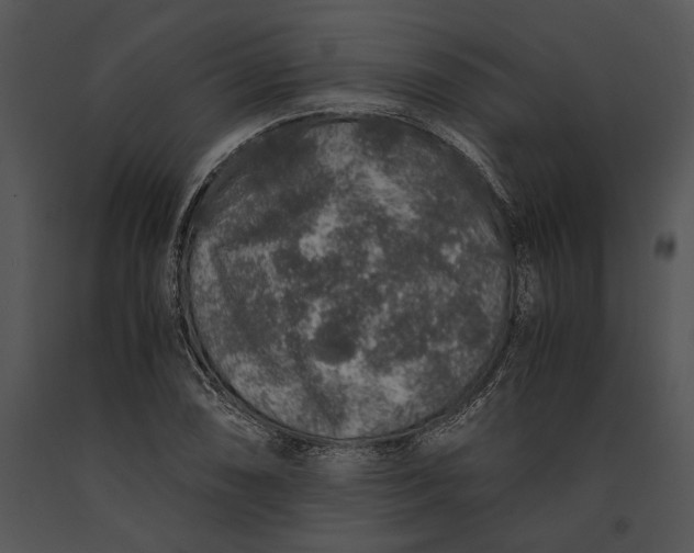 X0000091181074200708301212