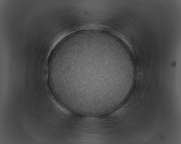 X0000091181075200708301212