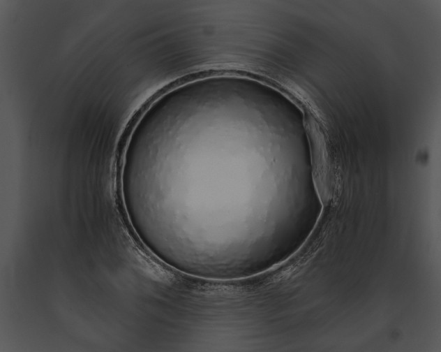 X0000091181076200708301212