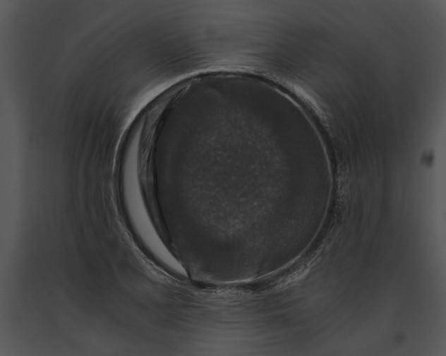 X0000091181077200708301212