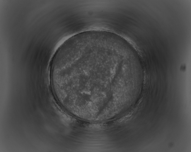 X0000091181078200708301212