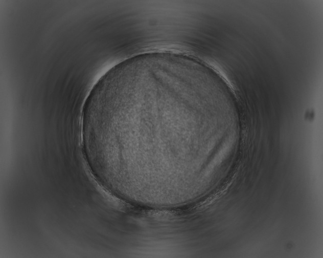 X0000091181079200708301212