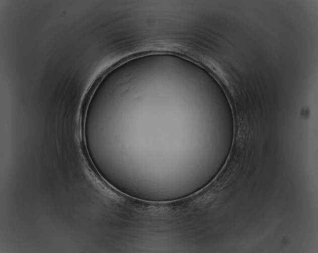 X0000091181080200708301212