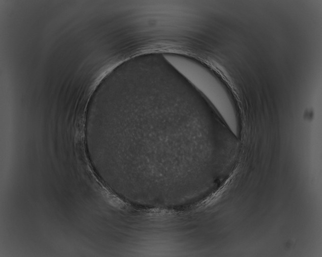 X0000091181081200708301212