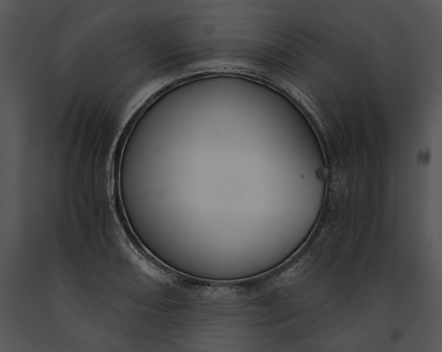 X0000091181082200708301212