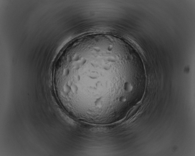 X0000091181083200708301212