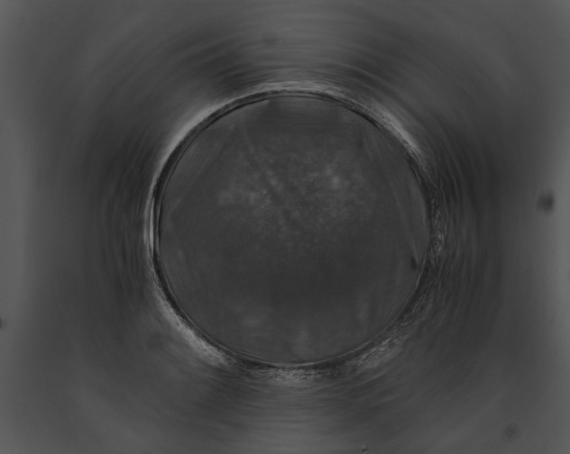 X0000091181084200708301212