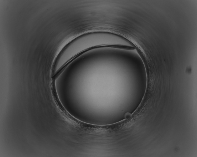 X0000091181085200708301212