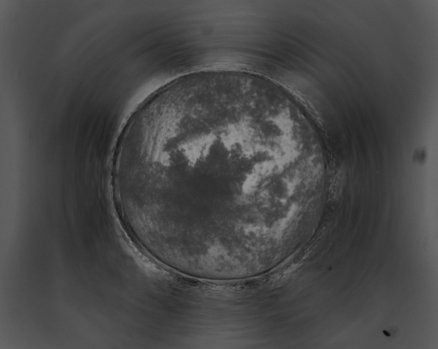 X0000091181086200708301212