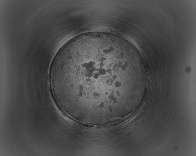 X0000091181087200708301212