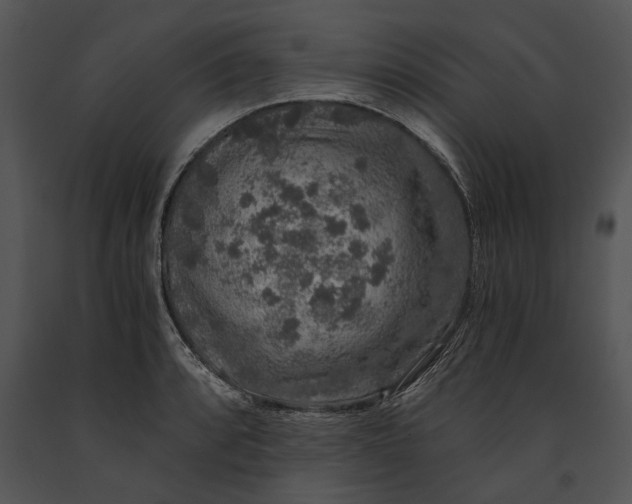 X0000091181088200708301212