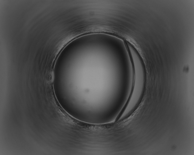 X0000091181089200708301212