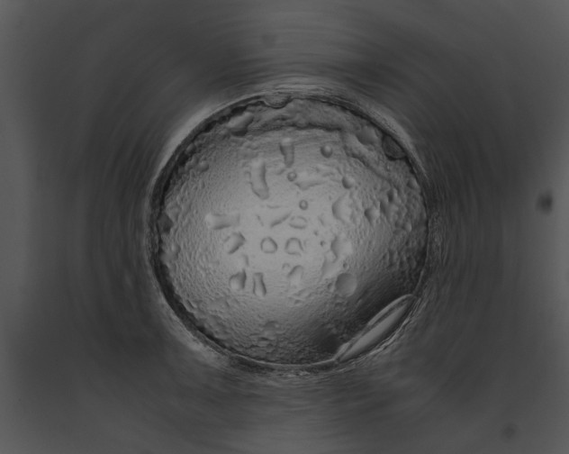 X0000091181091200708301212