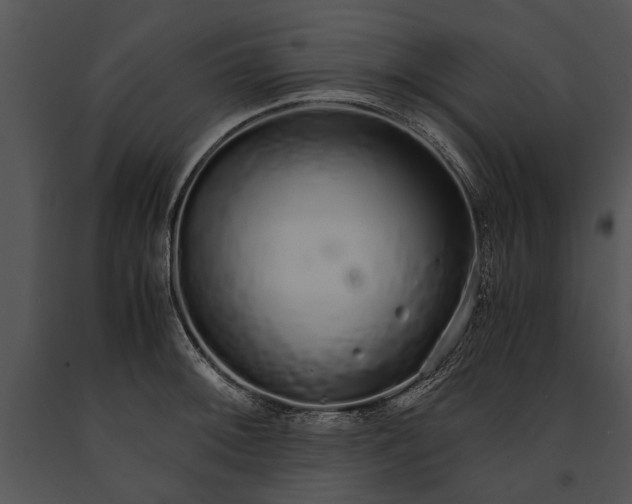 X0000091181092200708301212