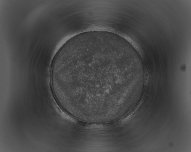 X0000091181094200708301212