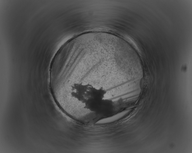 X0000091181095200708301212