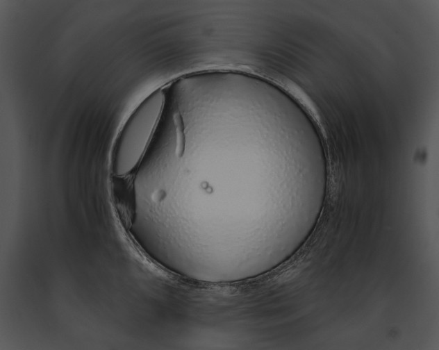 X0000091181096200708301212