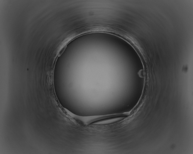 X0000091181097200708301212