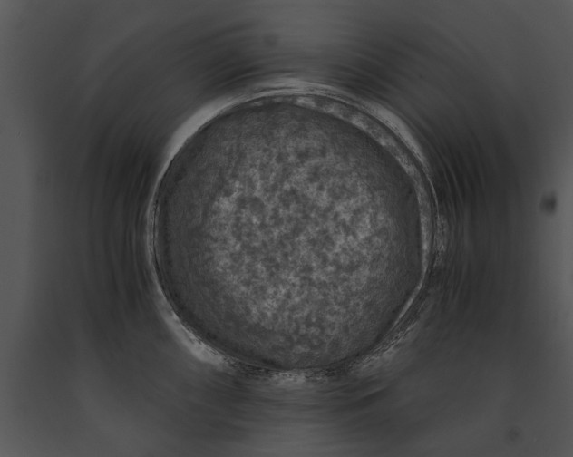 X0000091181098200708301212