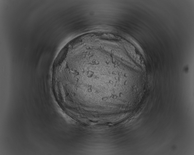 X0000091181099200708301212