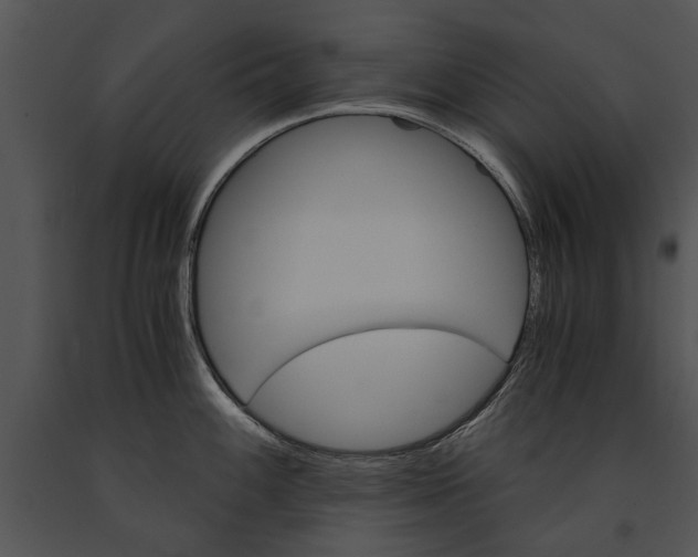 X0000091181100200708301212