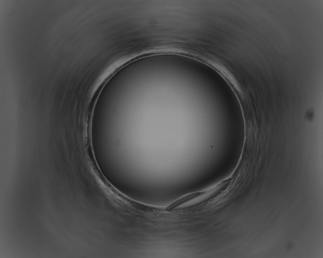 X0000091181101200708301211