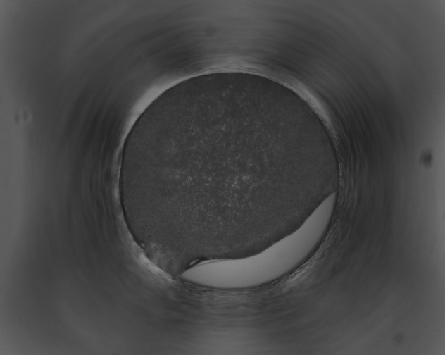 X0000091181102200708301211