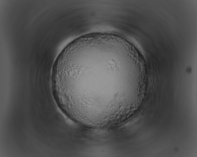 X0000091181103200708301211