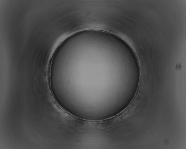 X0000091181104200708301211