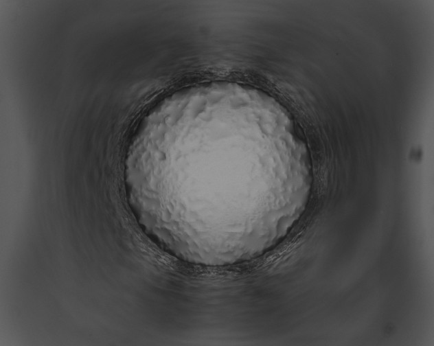 X0000091181105200708301211