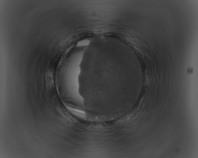 X0000091181106200708301211