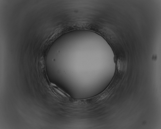 X0000091181107200708301211