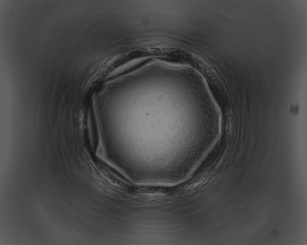 X0000091181108200708301211