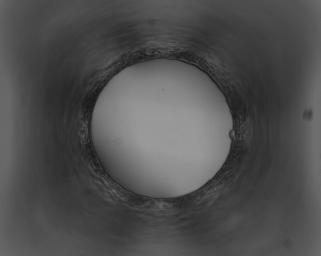 X0000091181109200708301211