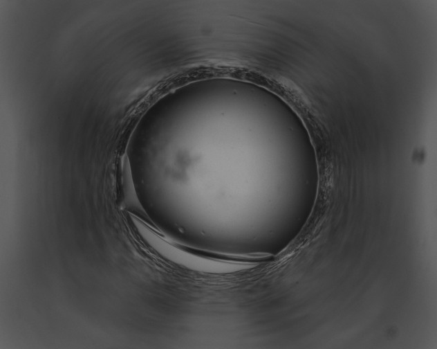 X0000091181110200708301211