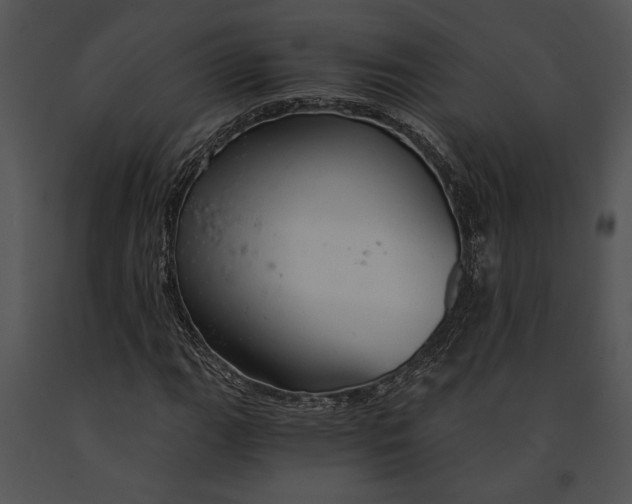 X0000091181111200708301211