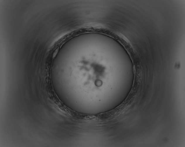 X0000091181112200708301211