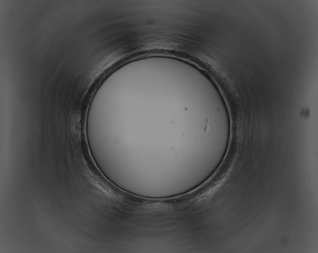 X0000091181113200708301211