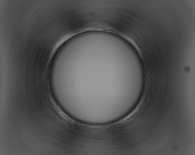 X0000091181114200708301211