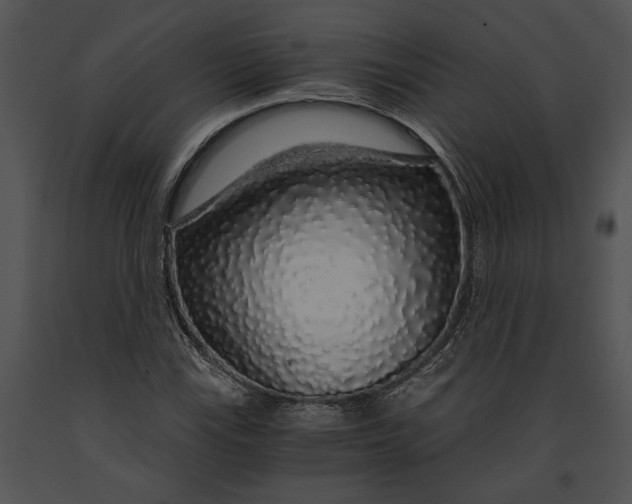 X0000091181115200708301211