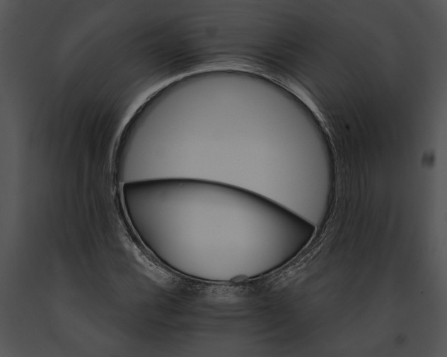 X0000091181116200708301211