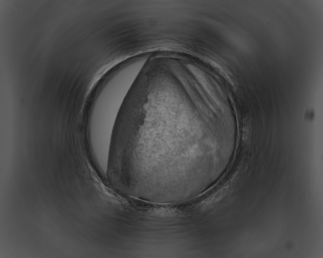 X0000091181117200708301211